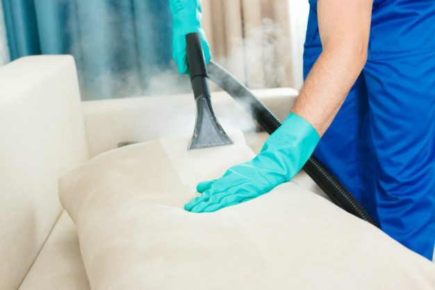 Eco-Friendly Upholstery Cleaning Solutions for Randwick Homes