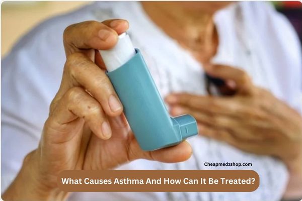 What Causes Asthma And How Can It Be Treated (1)